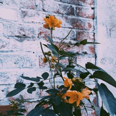 hth·华体育官方截图